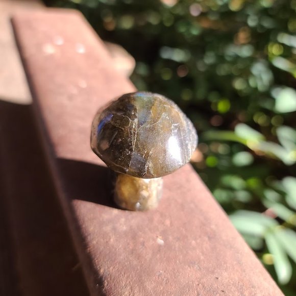 Laboradite hand carved mushroom 3" - Picture 8 of 10